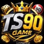 TS90 Game