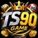 TS90 Game