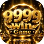 9999 WIN Game Download APK
