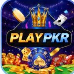 PLAYPKR Game