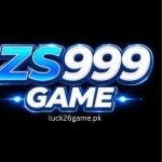 ZS999