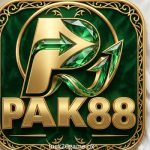 PAK88 Game